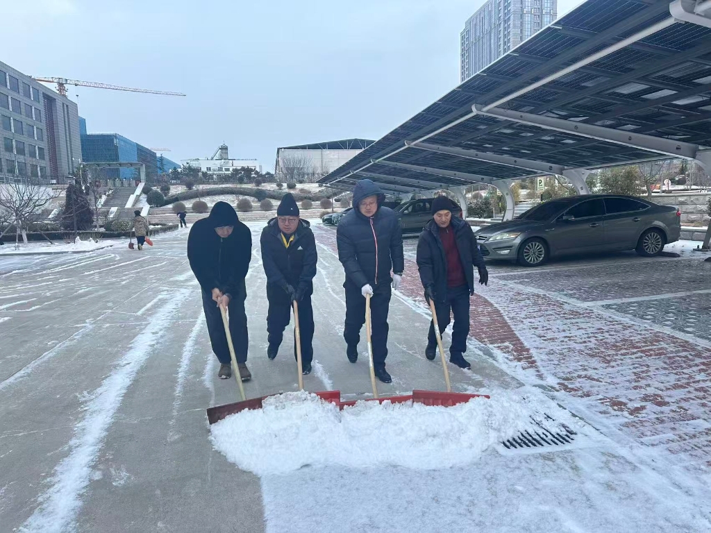 风雪砺初心 暖意护归途 | 招金精炼员工除雪保通勤纪实